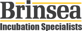 Brinsea logo