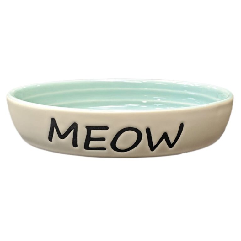 Shallow cream ceramic cat dish with MEOW lettering and mint interior